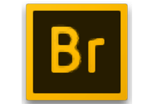 文件管理软件 Adobe Bridge CC 2020 V10.0.4.157直装版-织金旋律博客